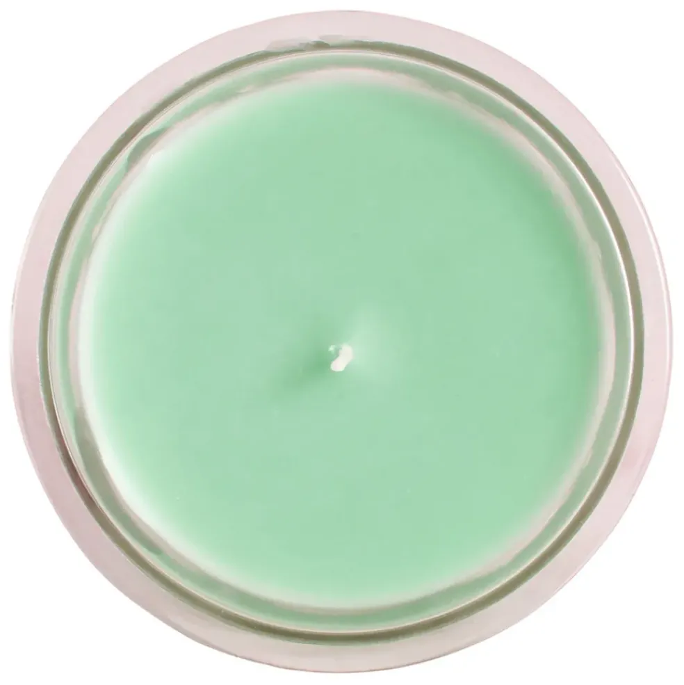 Bougie sous le figuier vert 220g