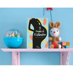 Cahier de grossesse 9 mois à t’attendre