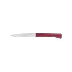 Coffret de 4 couteaux de table multicolor - Opinel