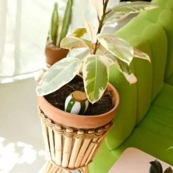 Diffuseur d'eau en argile raye vert et blanc 25cl - Olla