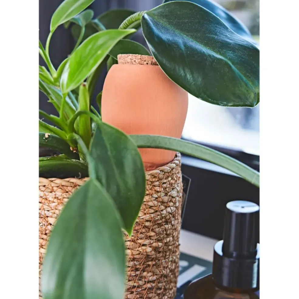 Diffuseur d'eau en argile terracotta 25cl - Olla