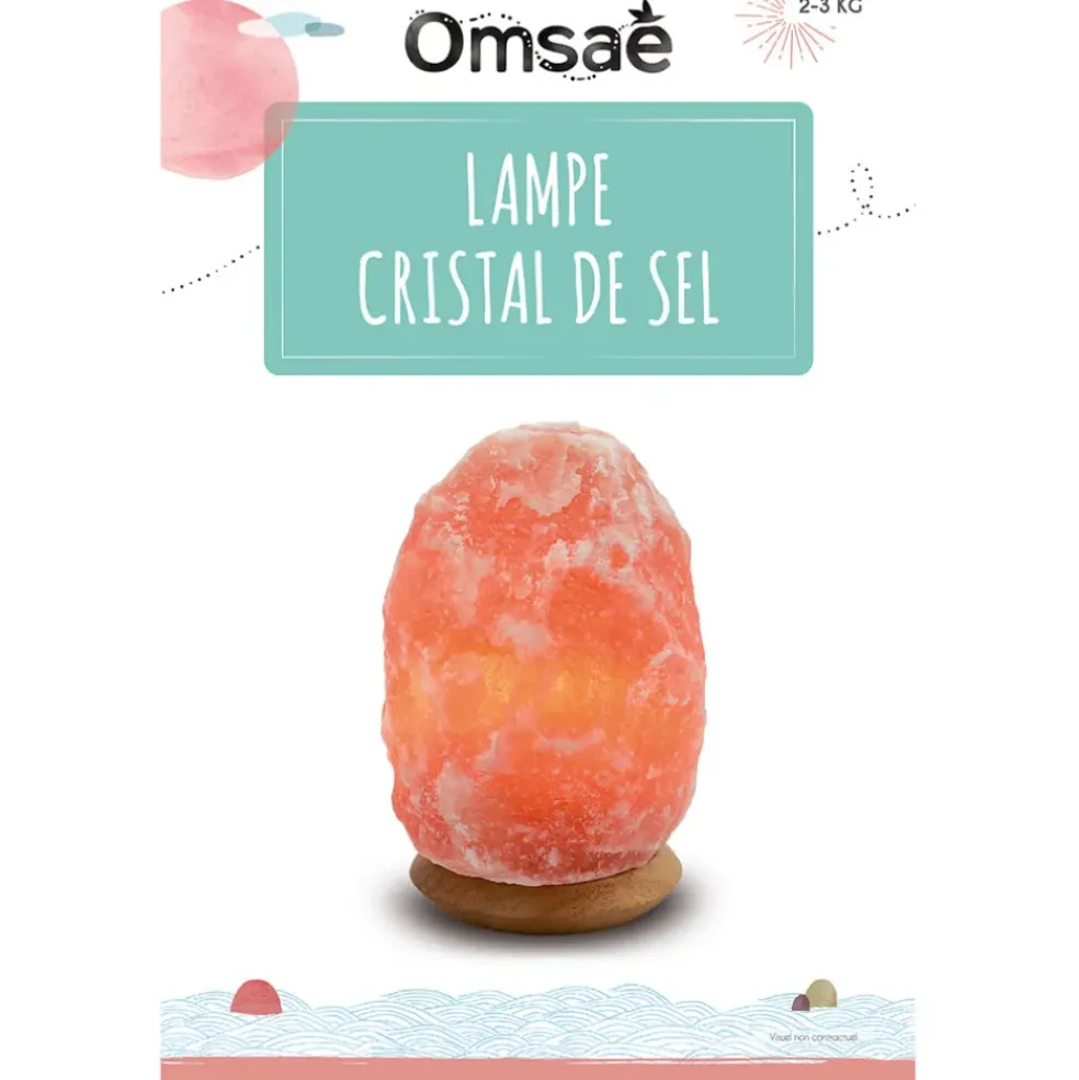 Lampe en cristal de sel pièce de 2 à 3 kg
