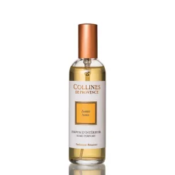 Parfum d'interieur ambre 100ml