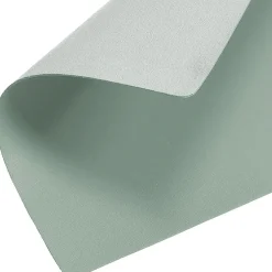 Set de table en cuir synthetique menthe 45x30cm